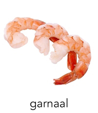 garnaal1