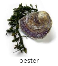 oester1