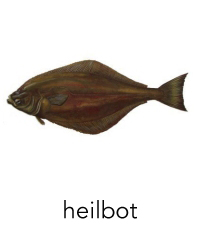 heilbot1