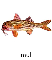 mul1