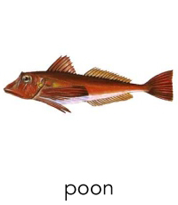poon1