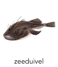 zeeduivel1
